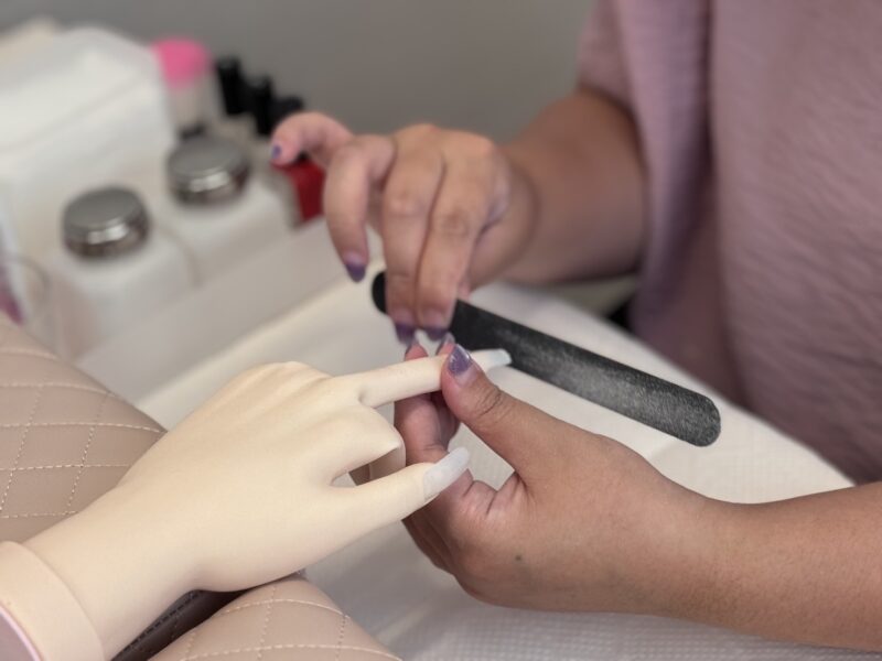 新入生とファイルのレッスン